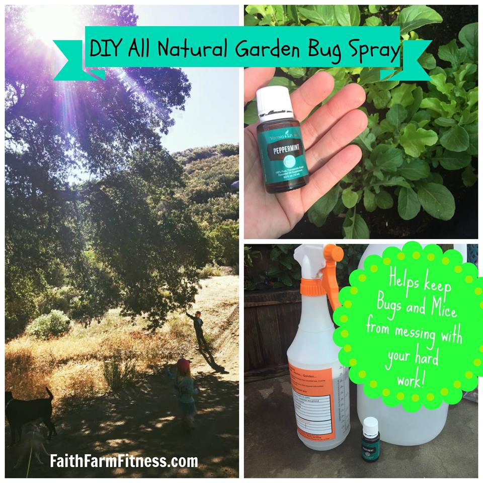 Life Light Up DIY All Natural Garden Bug Spray Recipe