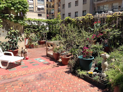 Escritura Creativa Poramoralarte Barcelona. Un espacio de Nora Almada