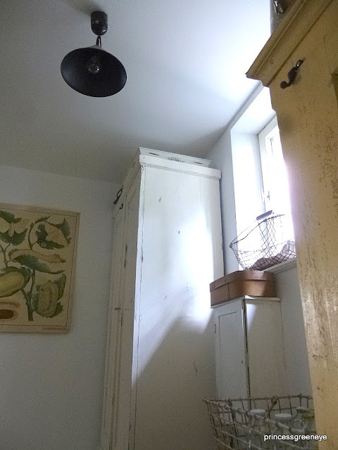 princessgreeneye: Die ehemalige Wohnleiche........