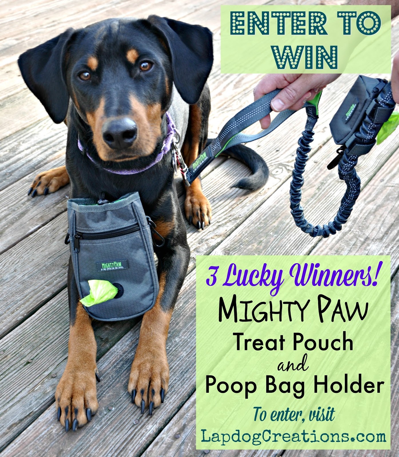 Lapdog Creations Mighty Paw Dog Accessories + GIVEAWAY + COUPON