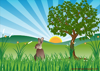 Lonely Rabbit in The Hill Plant Tree Scenery