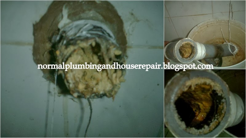 Normal Plumbing Membaiki Sinki Tersumbat Setelah Saluran Paip Dibuka Kelihatan Lelemak Yang Telah Membeku Dan