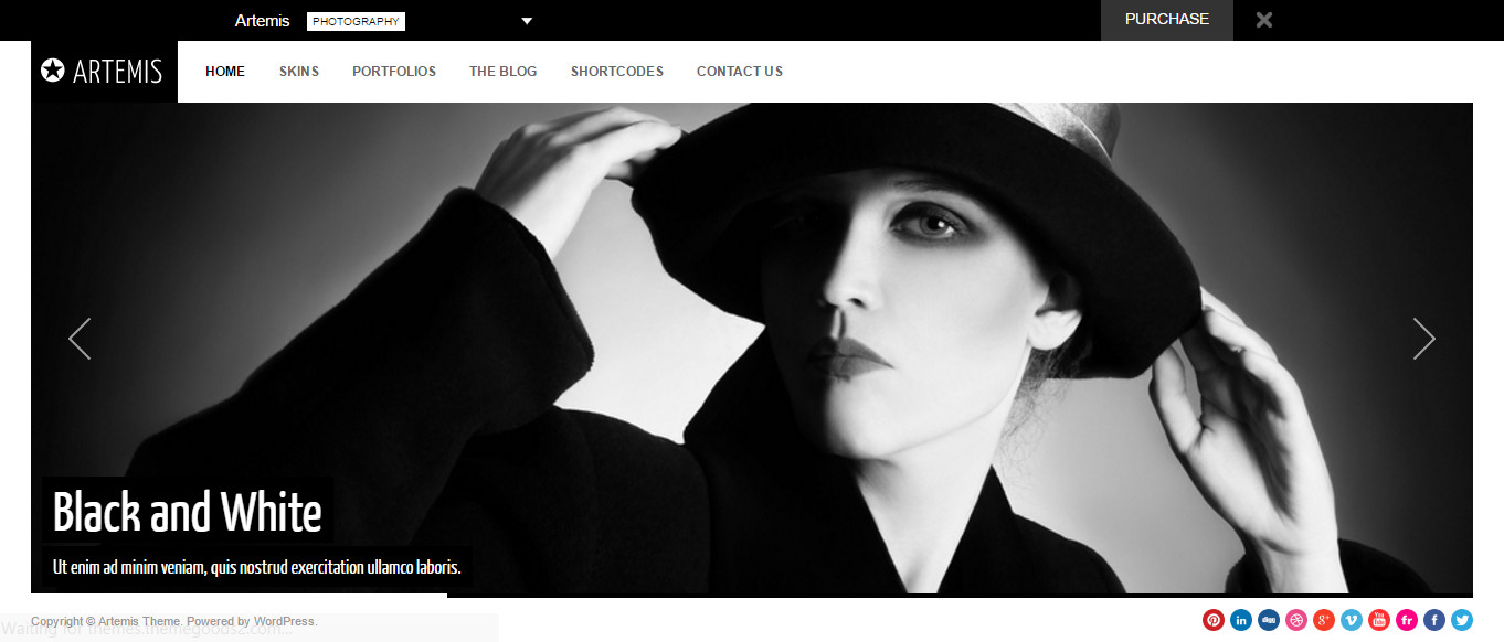 Artemis wordpress-photography-Gallery-Theme