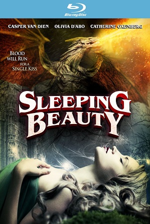Sleeping Beauty (2014) 300Mb Full Hindi Dual Audio Movie Download 480p Bluray Free Watch Online Full Movie Download Worldfree4u 9xmovies