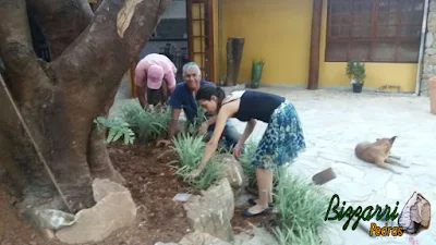 Bizzarri com sua filha Katia Bizzarri executando o paisagismo, plantando as mudas de barba de serpente com as pedras ornamentais no Restaurante Recanto das Pedras em Atibaia-SP.