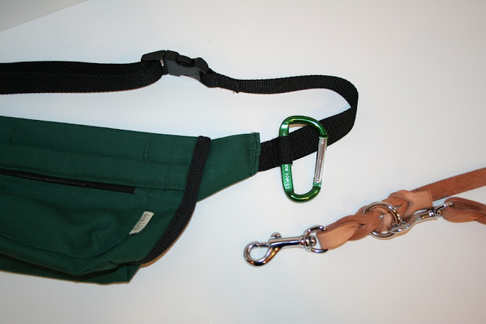 loop in the black webbing strap showing a carabiner and a tan leash