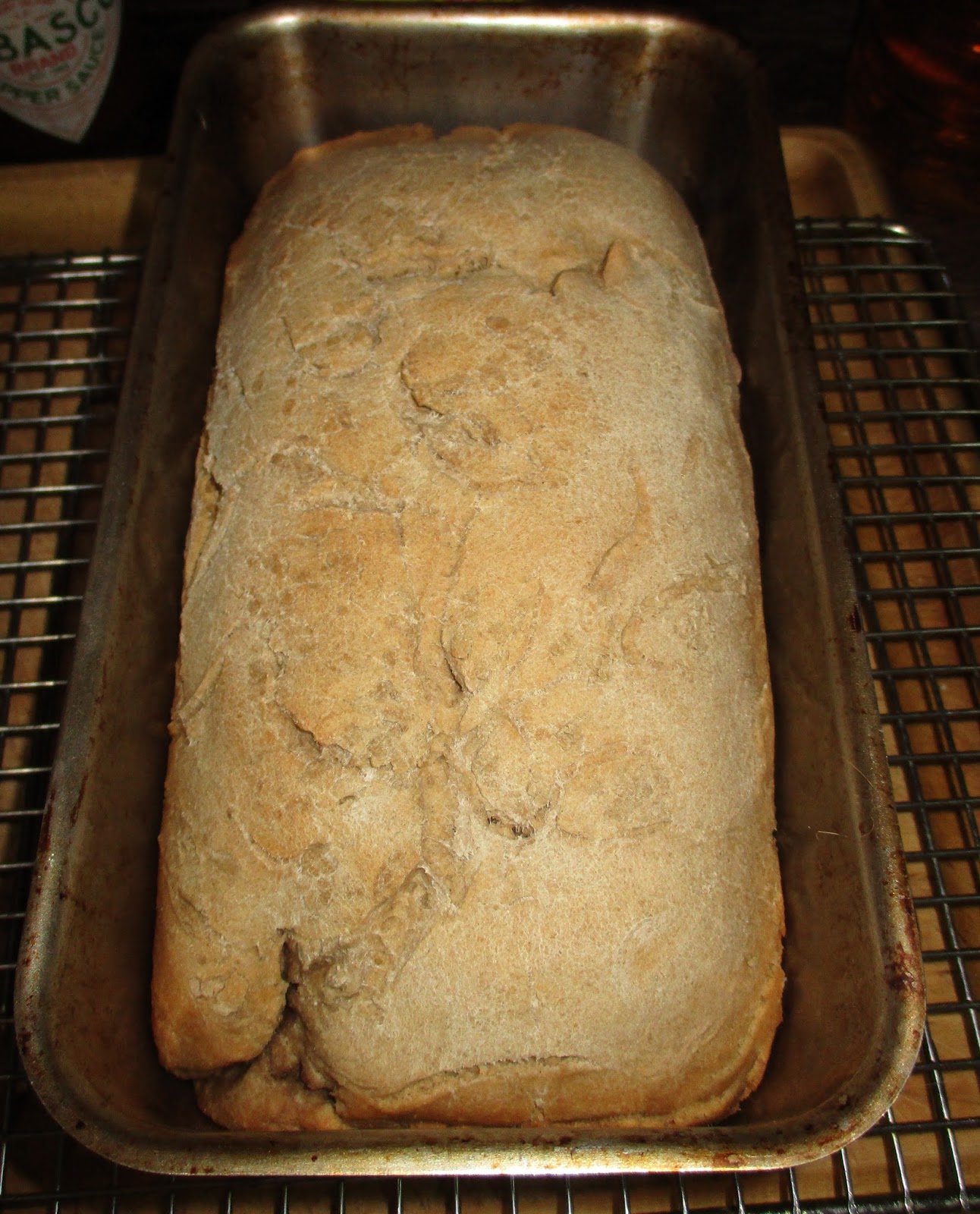 The Science Notebook It's Alive! The Sourdough Experiment Part One