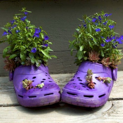 غرس النباتات في حذاء قديم