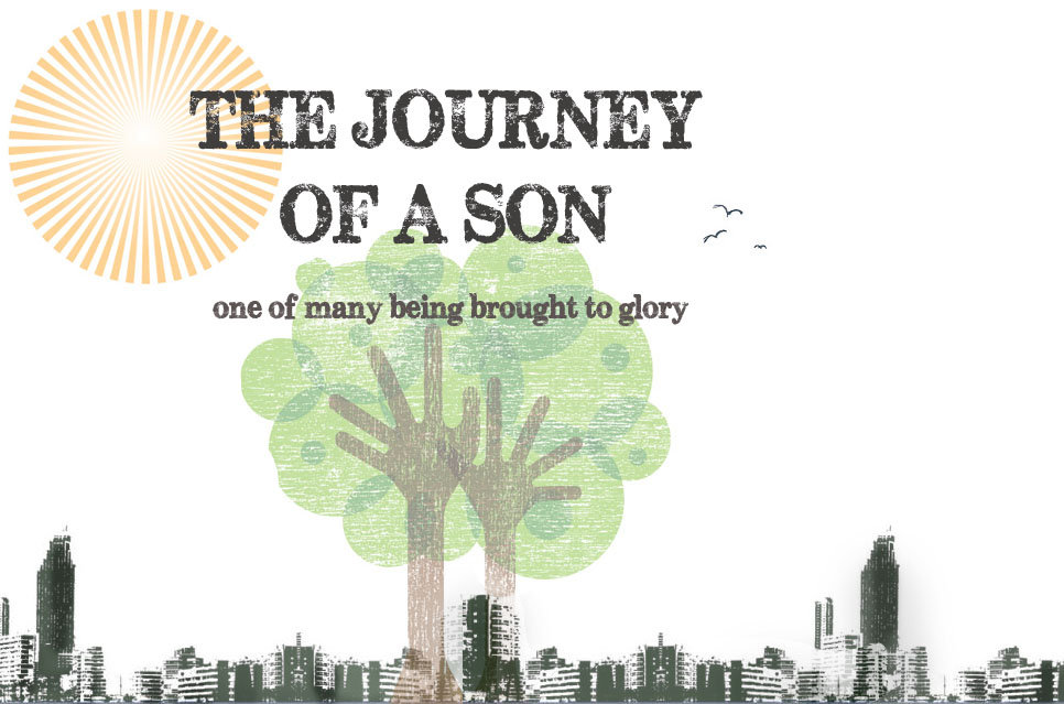 Journey of a Son