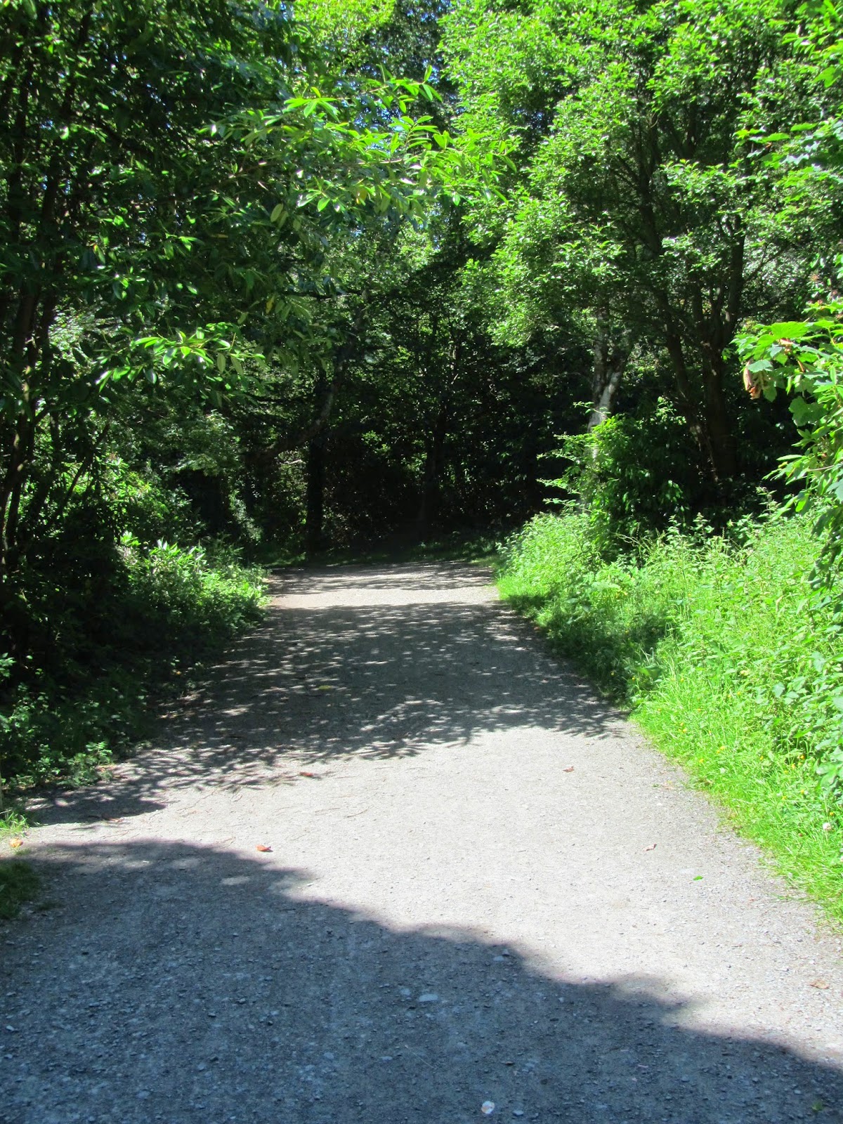 EXPAT WITH KIDS IN DUBLIN Castlewellan Forest Park We visited it