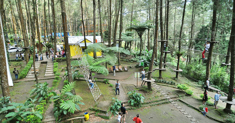 Lokasi dan Rute Kopeng Treetop Adventure Semarang Jawa Tengah