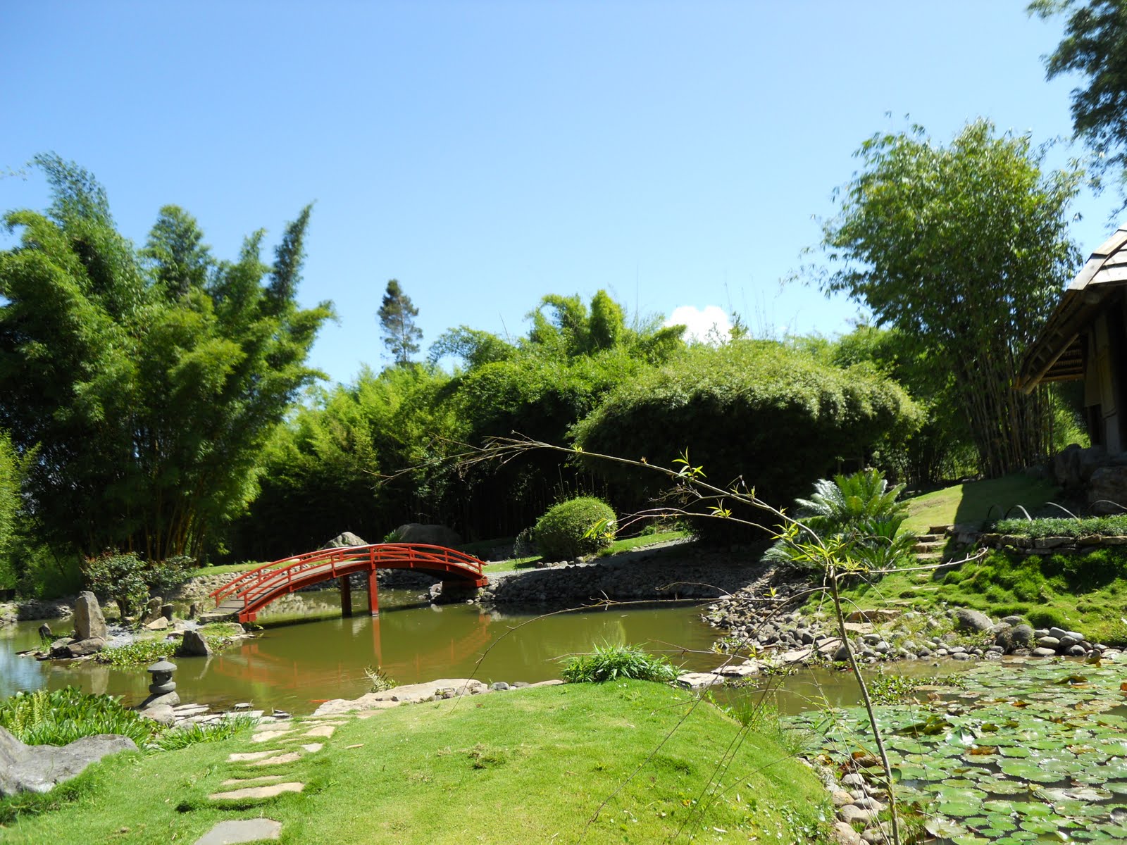 My Trip to Costa Rica: Jardín Botánico Lankester