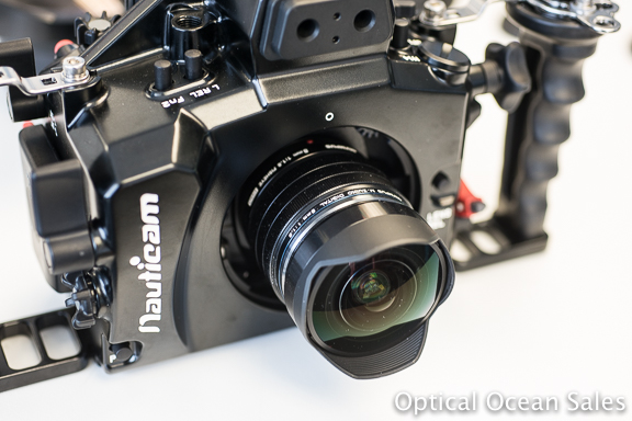 New Olympus 8mm & 7-14mm Lenses: Will They Fit Your Housing?