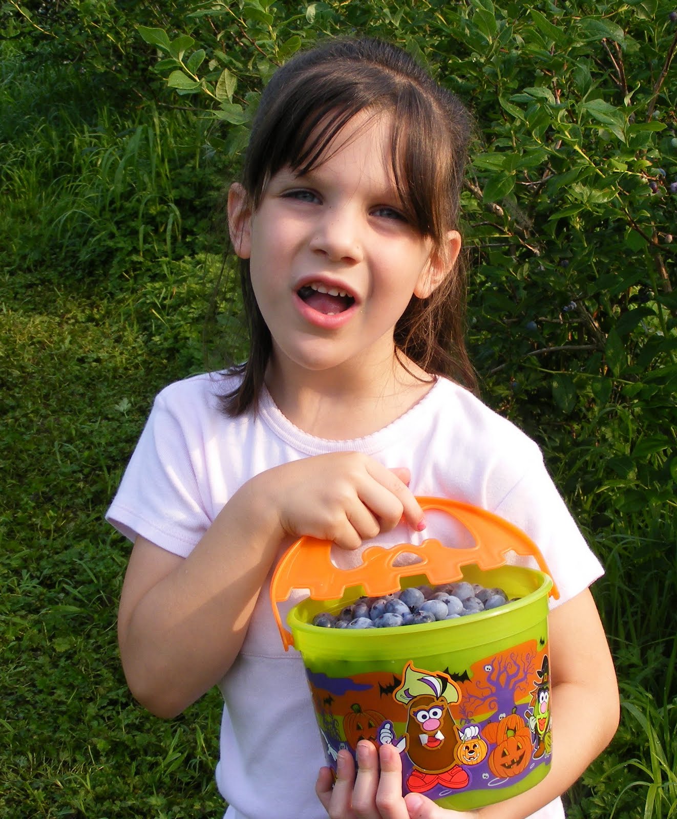 Ten kids and a Dog Blueberry picking