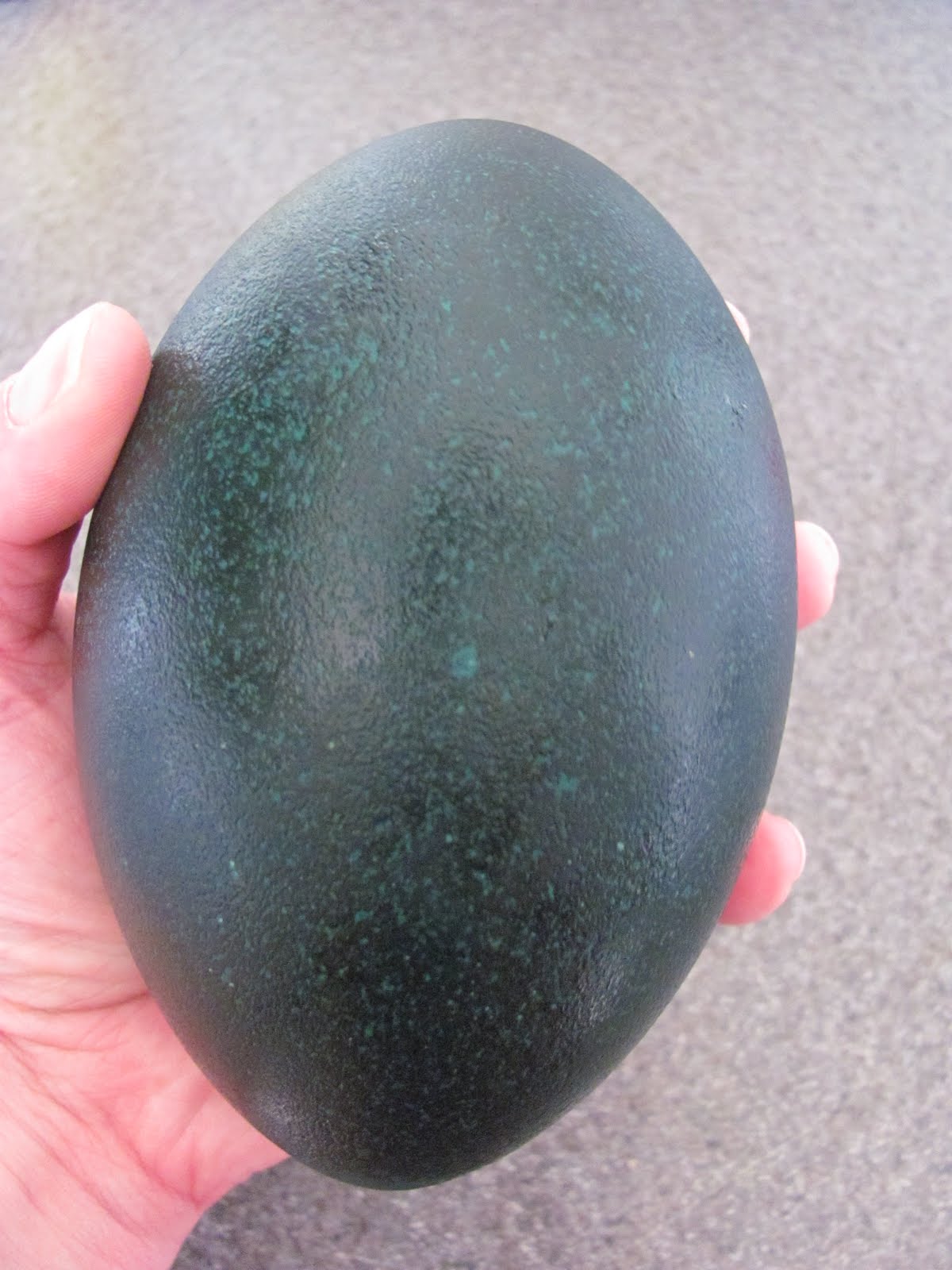 Mandy at Home Emu Egg