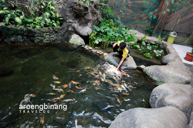 taman akuarium air tawar tmii jakarta timur