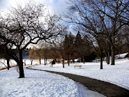 High Park - TO