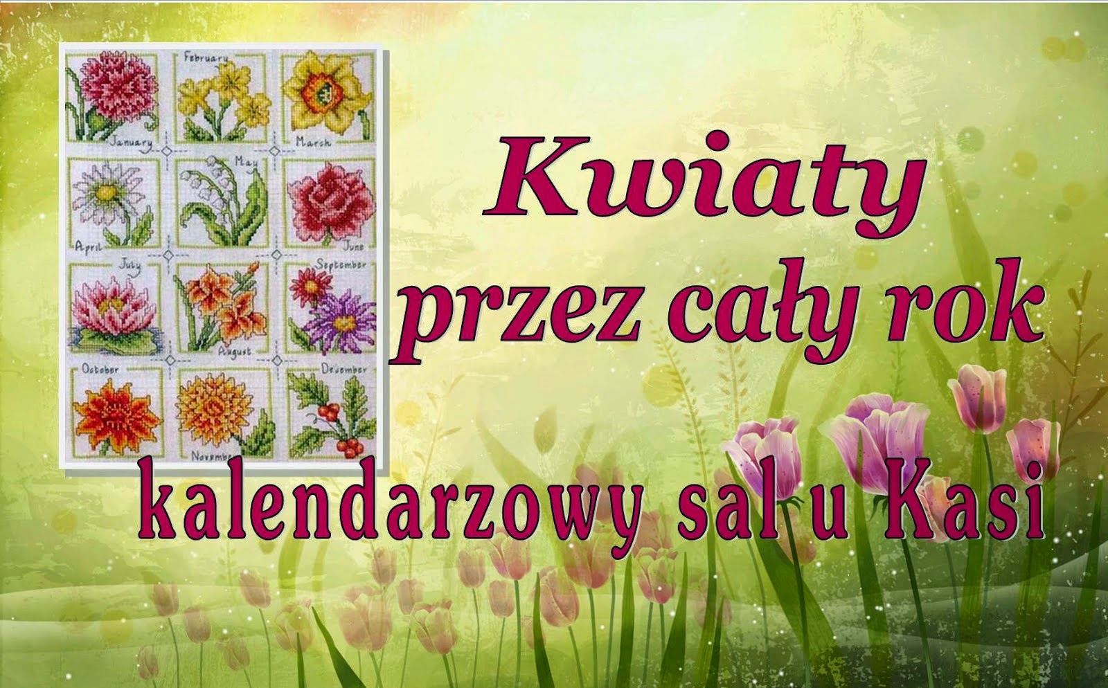 Kwiaty przez cały rok - Sal u Kasi