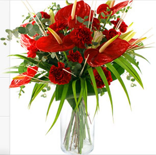 Florist In Chennai February 2013