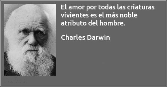 Resultado de imagen para charles darwin frases