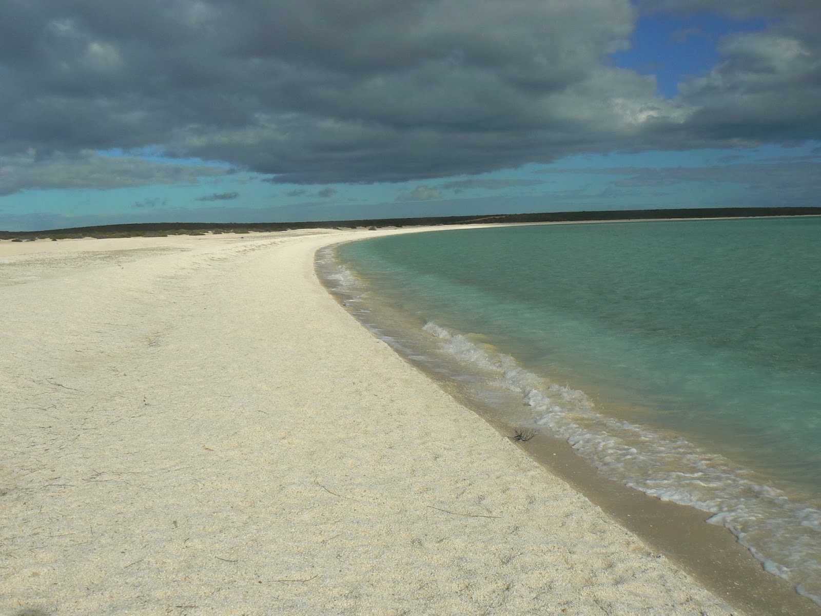 Phil & Gail's Travels : Mt Augustus Trip