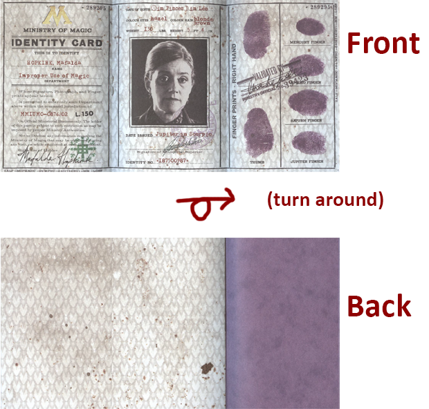 Ministry Of Magic Id Card Template