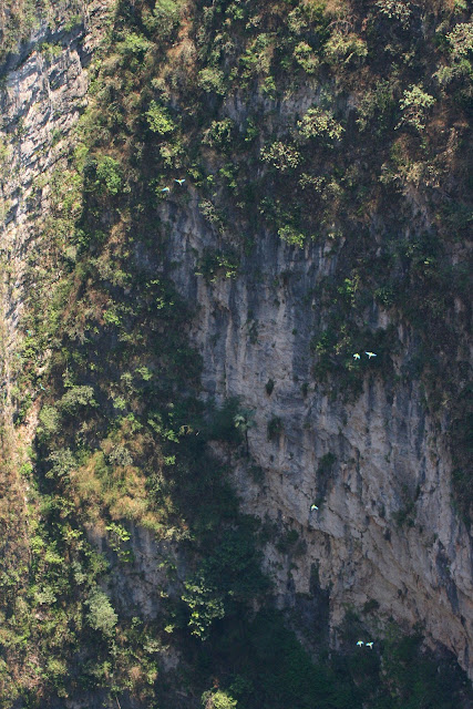 El origen kárstico de la Sierra Madre Oriental
