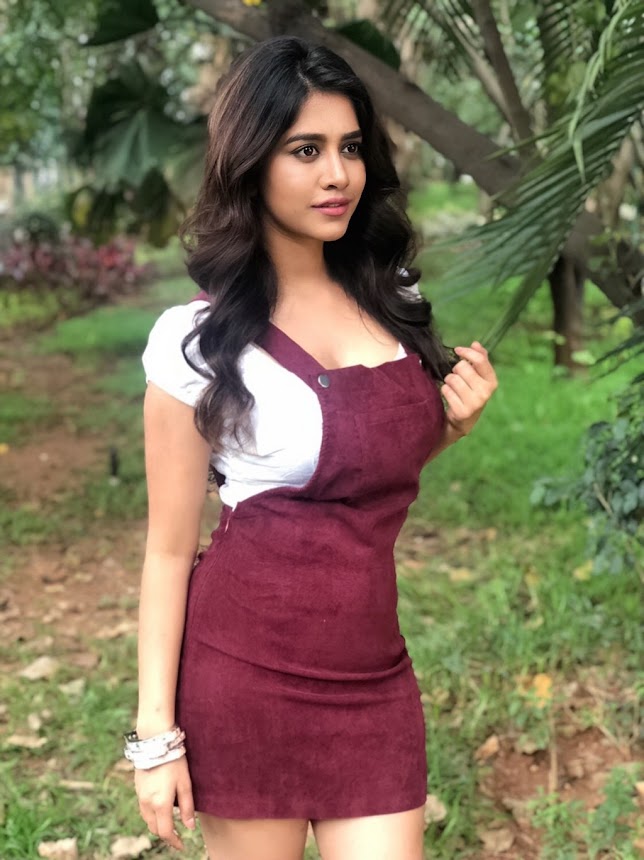 Nabha Natesh