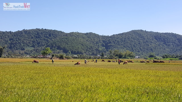 Tham quan làng M'nong trên hồ Lak