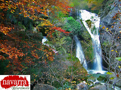 La Cascada del Elefante es la cascada más grande del Nacedero del Río Urederra, situado en Baquedano, en el Valle de Améscoa, en la Comarca Turística de Urbasa Estella y los Parques de la Naturaleza en Navarra Naturalmente. 