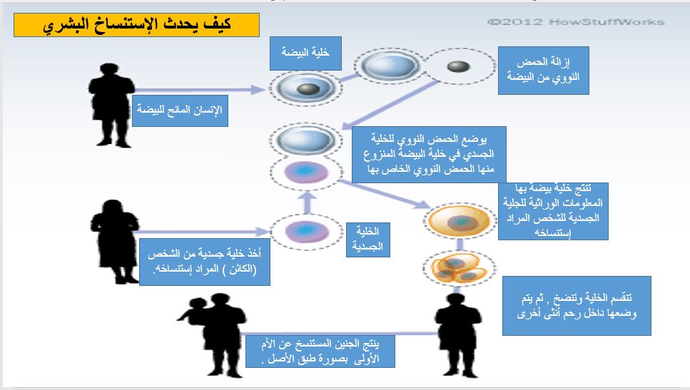 الاستنساخ البشري