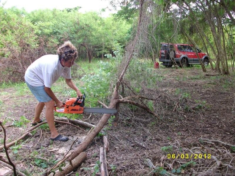 Naciriyawa our farm in Fiji getting familiar with a chainsaw...