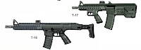 Safir T-17 Assault Rifle