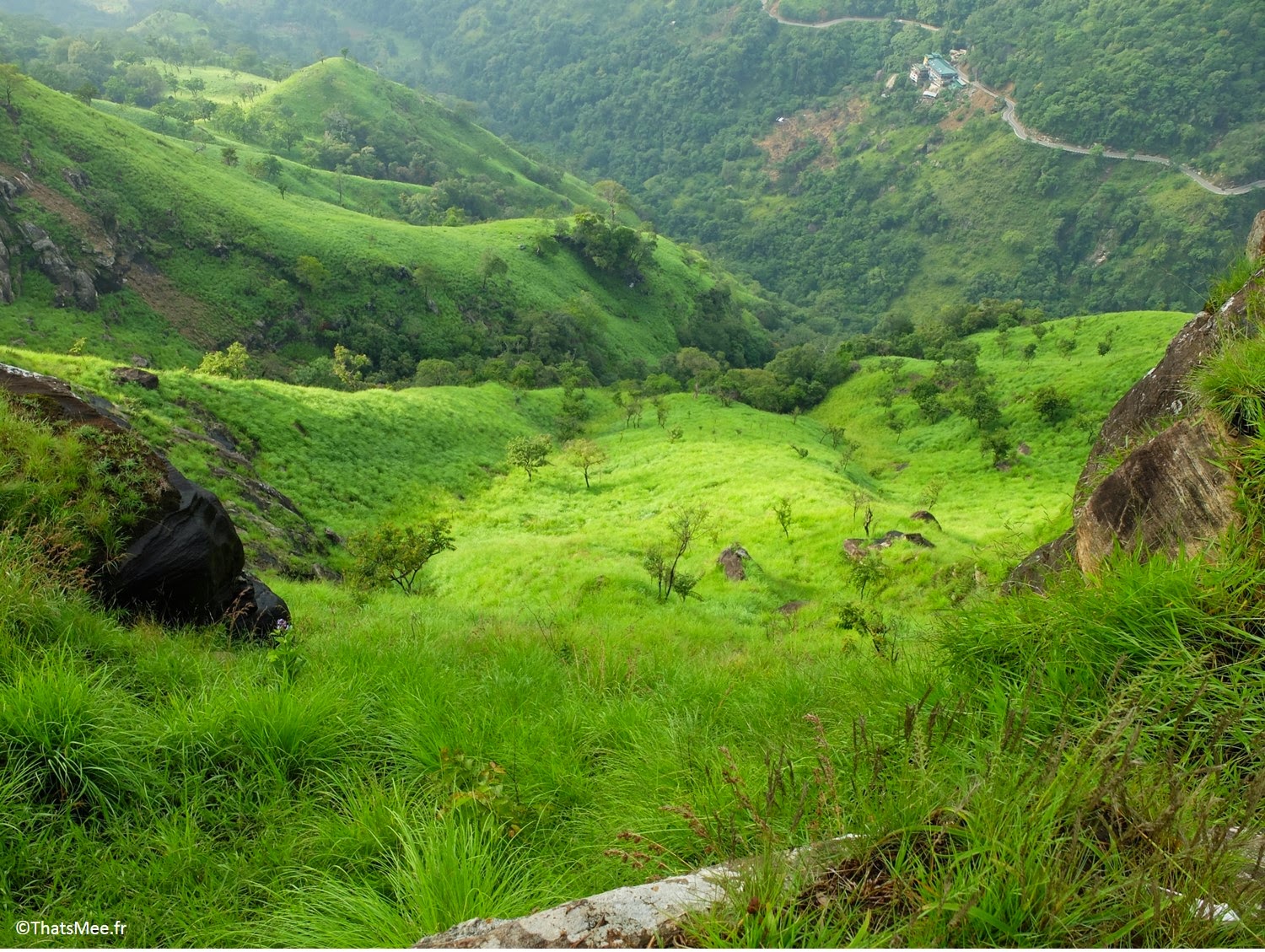 Vue depuis Adam's Peak Sri-Lanka plantations thé montagne