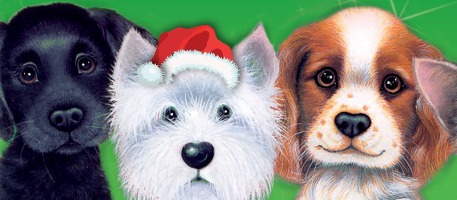 Give-a-Dog-a-Bone-Christmas-Appeal-2015