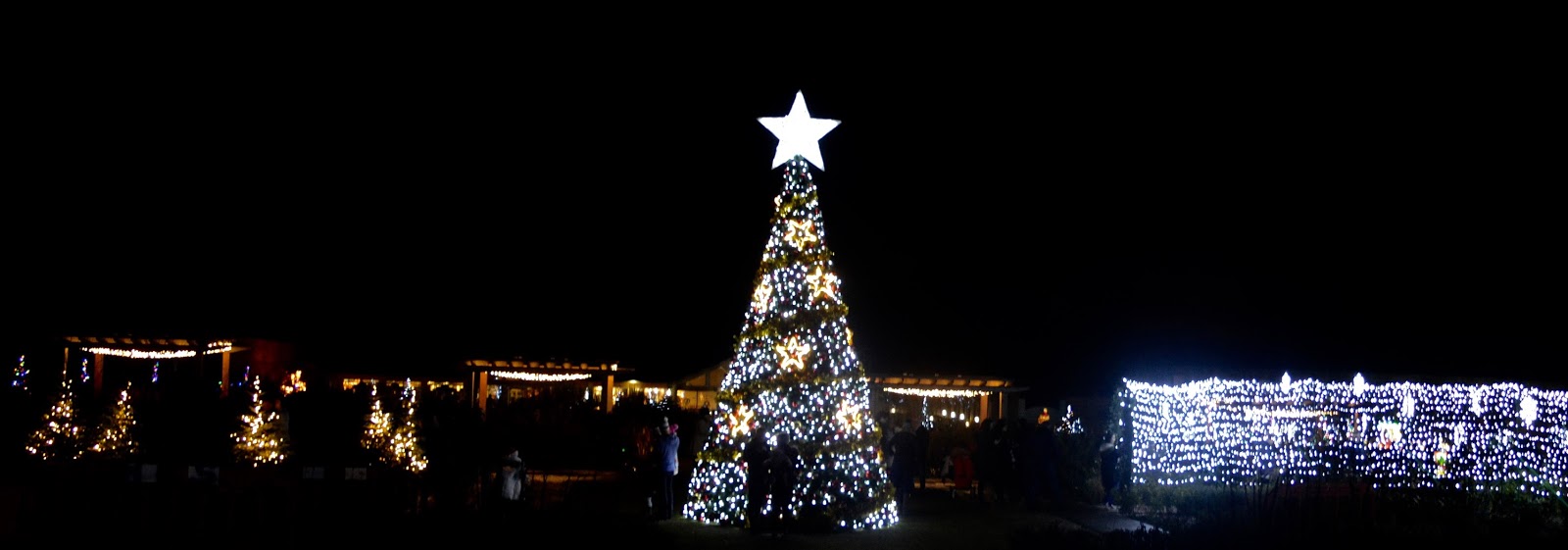 Winter Wonderland Christmas Light Show | A Wynyard Hall Garden Event - A Review