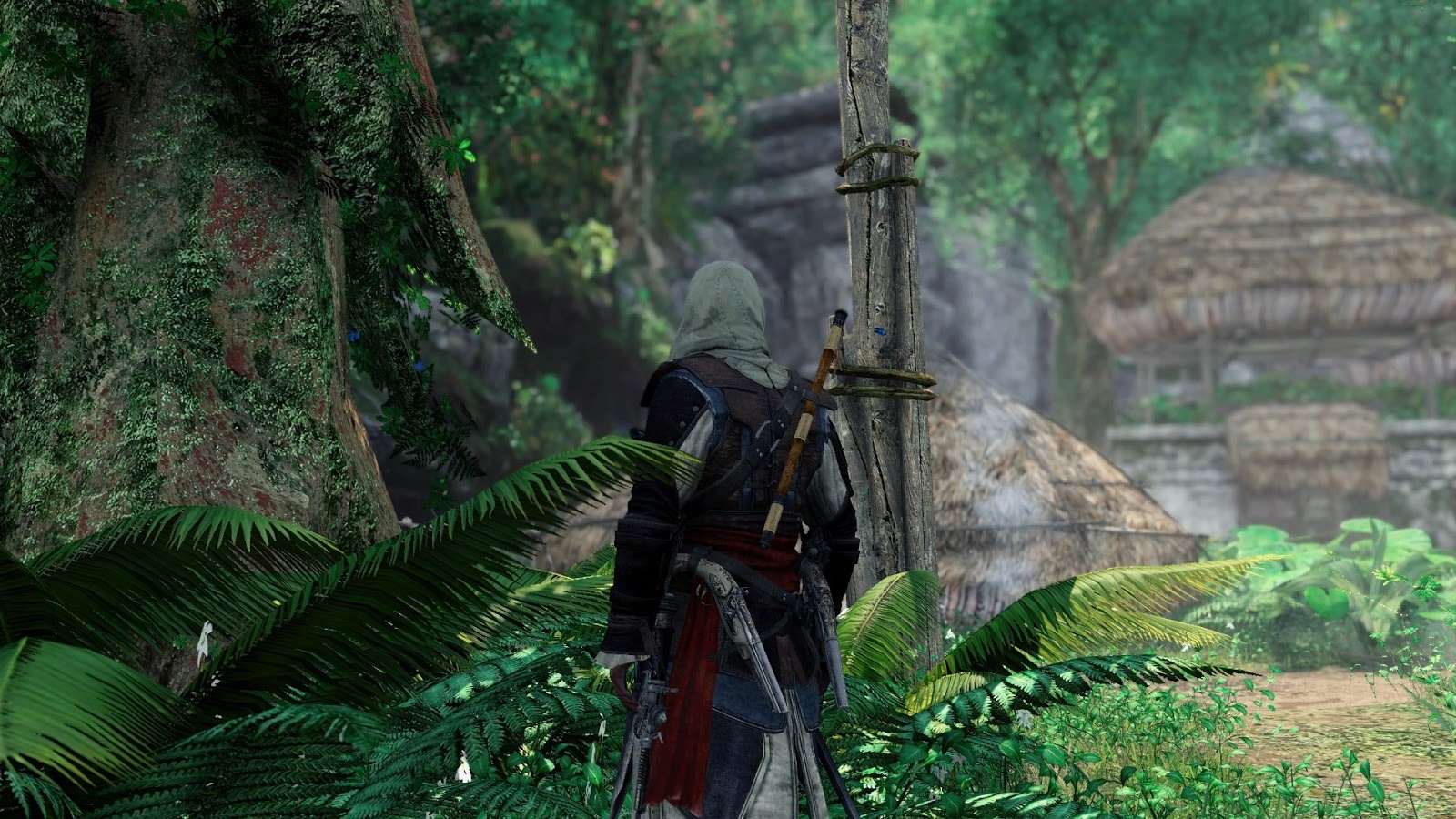 Assassin Assassin
