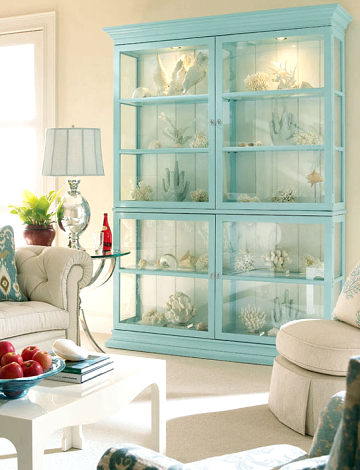 sea collections in glass cabinet