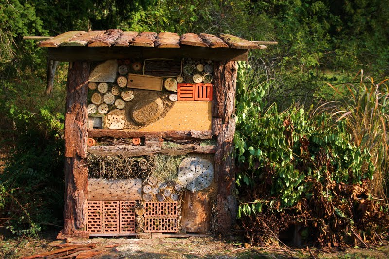 Wildes Gartenglück: Gartenprojekte und DIY