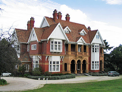 Toby The Punk Poofy Cat February 2017