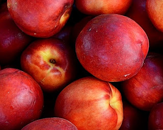 Tanaman Nectarian / nectarine (Prunus Persica var. Nucipersica L.Batsch)  Tanaman nectarine adalah tanaman buah yang sering kita jumpai berada di sekitar kita  Tanaman Nectarian / nectarine (Prunus Persica var. Nucipersica L.Batsch)