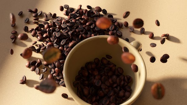 8 Tips Cara Membuat Kopi Arabika yang Nikmat 8 Tips Cara Membuat Kopi Arabika yang Nikmat