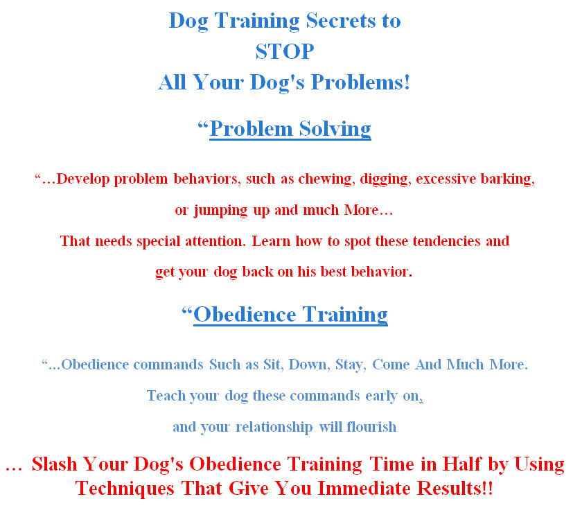 puppy obedience training tips