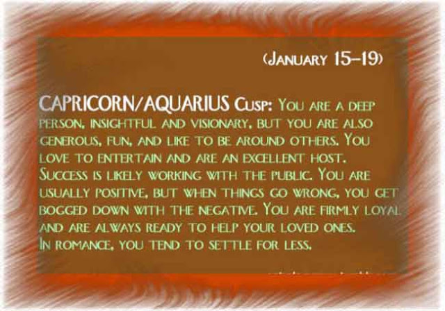 Capricorn Your Sun Sign Personality