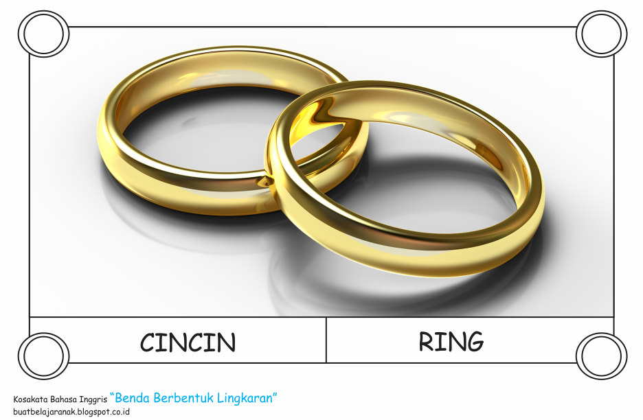 Kosakata NamaNama Benda Berbetuk Lingkaran Dalam Bahasa Inggris