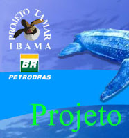 Projeto TAMAR