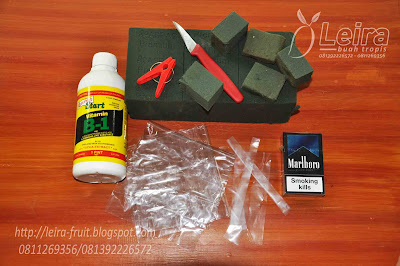 cara mencangkok tanaman