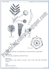 Kingdom Plantae - Short Questions Answers - Biology XI