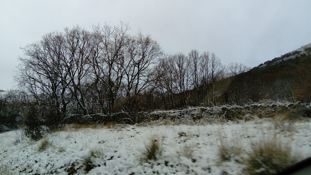 Paisaje invernal.