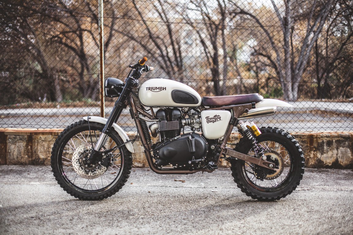 Triumph Thruxton Scrambler "Tramontana" Lsr Bikes